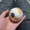 三毛猫の柄のボールが変身！